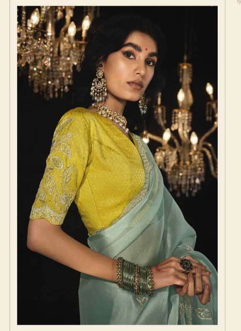 Pure silk saree with sequin, stone and zarkan work in Pastel Green