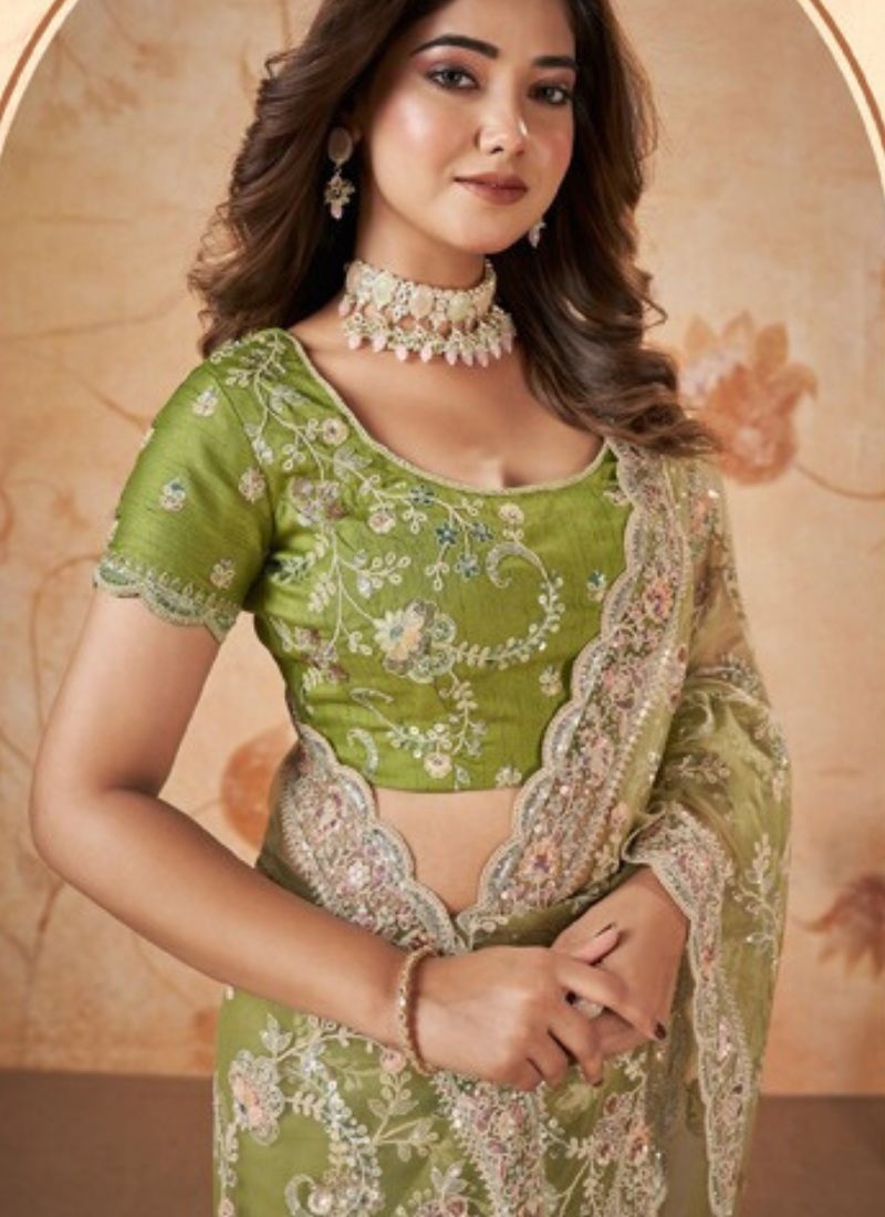 Beautiful net saree with cord embroidered in parrot green