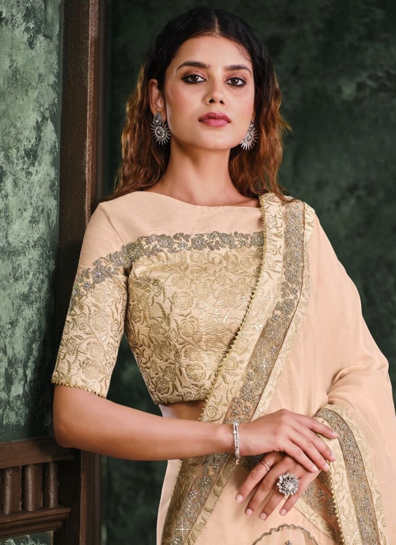 Premium zari work saree with stone work embroidery in beige