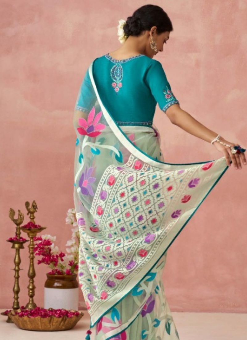 Beautiful digital printing organza saree  in light green