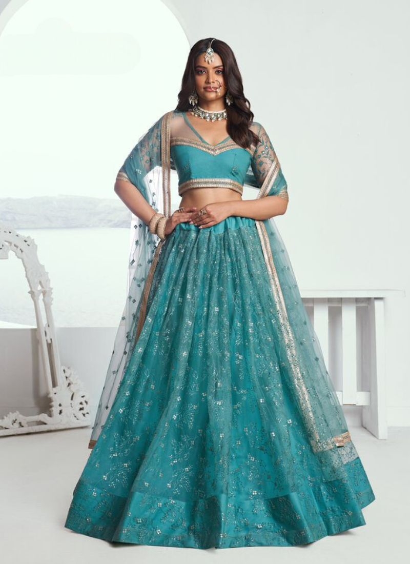 Beautiful designer butterfly net lehenga choli in blue