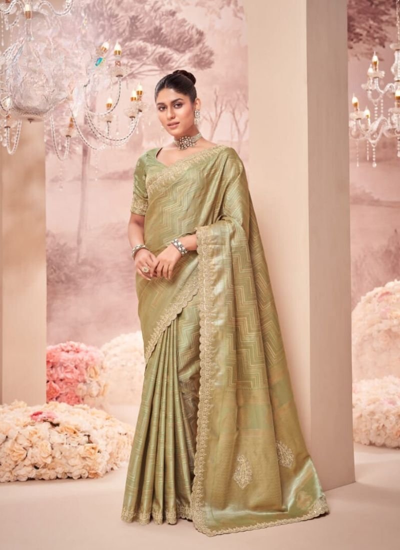 Beautiful embroidered organza silk saree in green