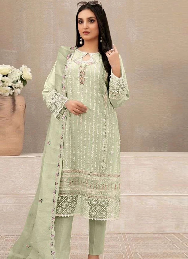 Exclusive georgette pakistani Suit collection in pastel green