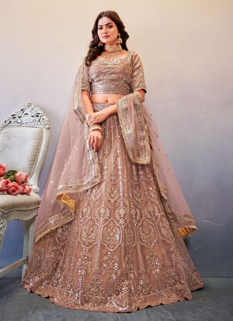 Stunning butterfly net lehenga choli with stone embroidery in light brown