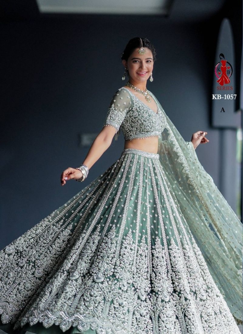 Beautiful embroidered butterfly net lehenga choli in light green