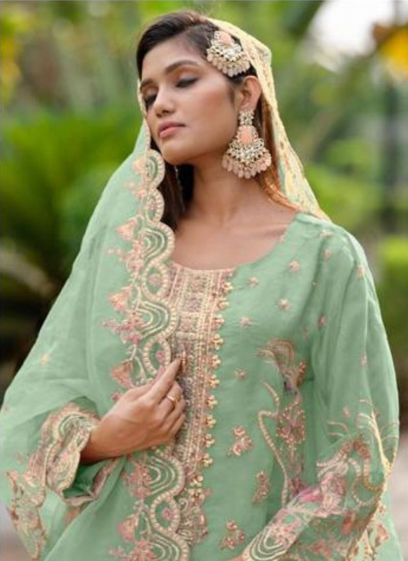 Embroidered Organza Straight Suit Set In Pastel Green